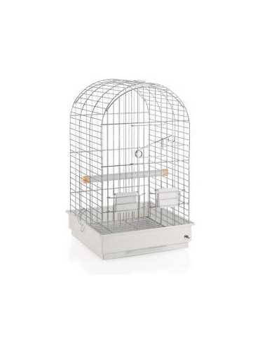 Curved cage parrot