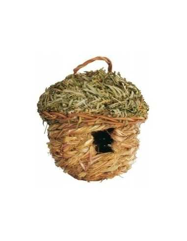Small tropical bird nest