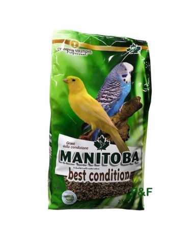 Mistura Melhor Condição Manitoba