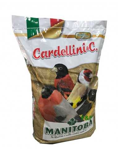 Mixture Extra Cardelino (Manitoba)