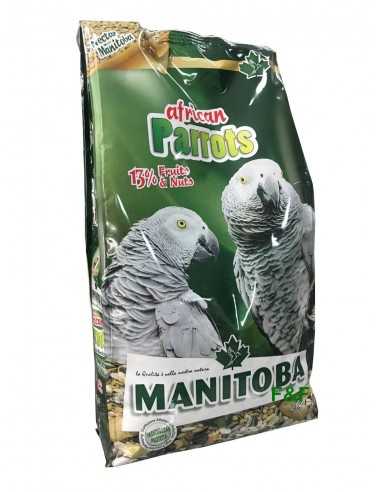 Mélange Perroquets Yacos "perroquets africains" (Manitoba)