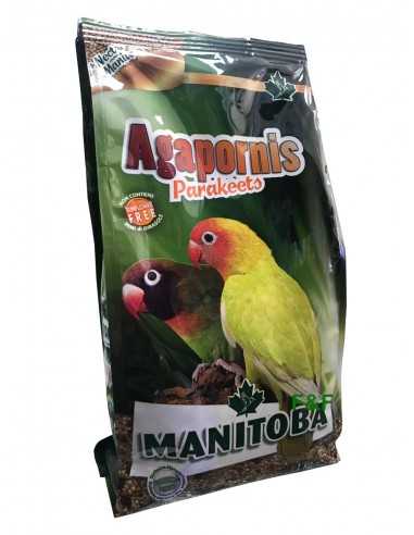 Mixtura Agapornis (Parakeets) Manitoba