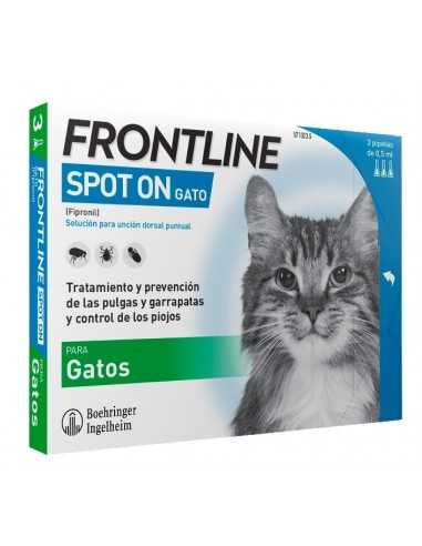 Frontline Stop on Katzen.