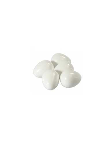 Huevo plástico agapornis (Art.304) 2Gr
