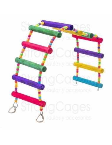 Colored lovebird ladder