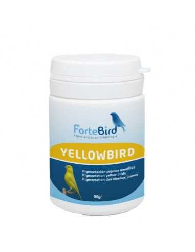 Yellowbird Fortebird
