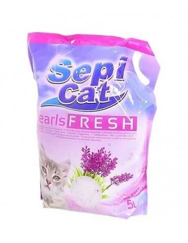 Sable silice chat avec lavande sépicat