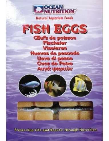 Fish Eggs Ocean Nutrition