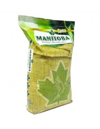 copy of White Millet Manitoba
