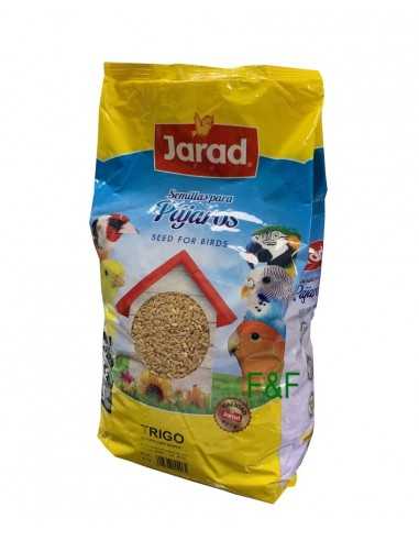 Wheat Jarad