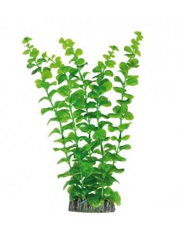 Bacopa australis Kunststoffpflanze AQUATISCHE PFLANZEN (28 cm) ICA