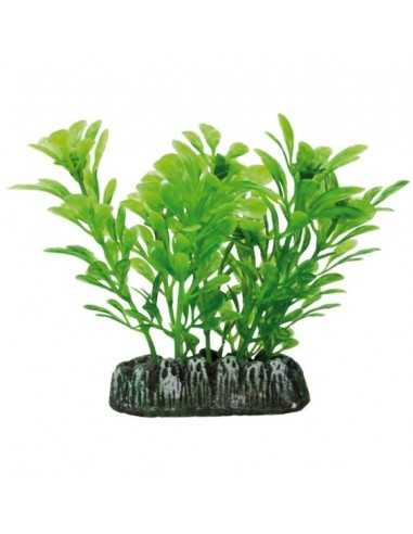 Plante en plastique Samolus PLANTES AQUATIQUES (7 cm) ICA