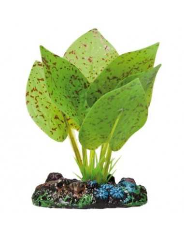Mottled Water Lily Plastic Plant AQUATIC PLANTS (7cm) ICA