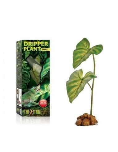 Dripper Plant Small Exo Terra