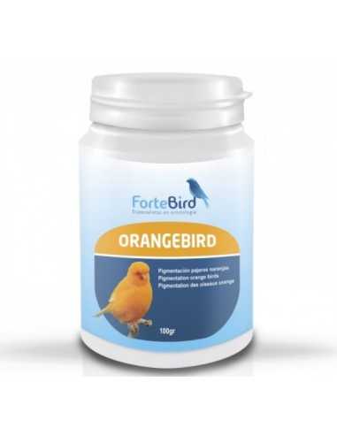OrangeBird Fortebird