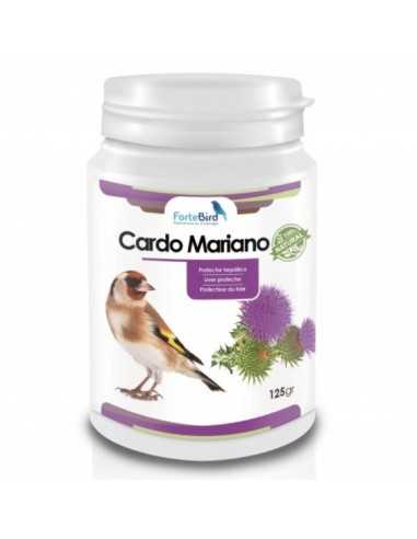 Cardo Mariano Natur Fortebird