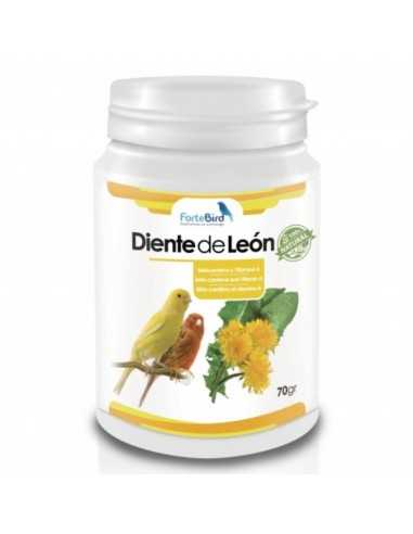 Diente de León Natur Fortebird