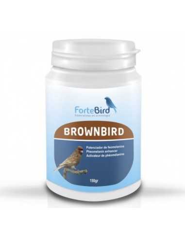 Brownbird Fortebird
