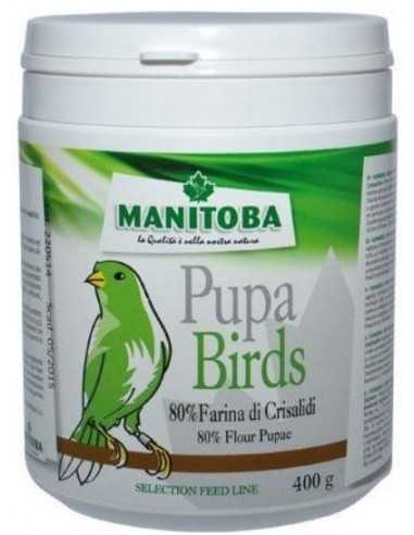 Harina de larvas Pupa Birds Manitoba