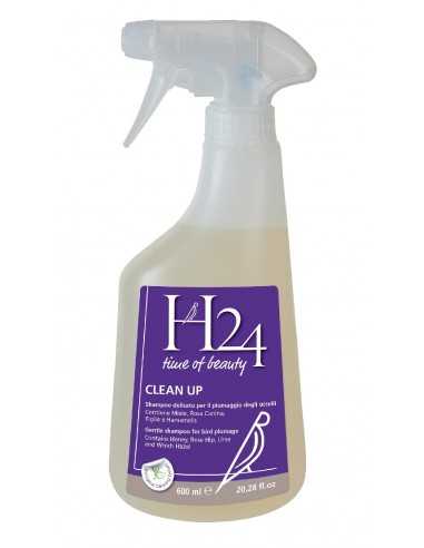 Clean Up H24
