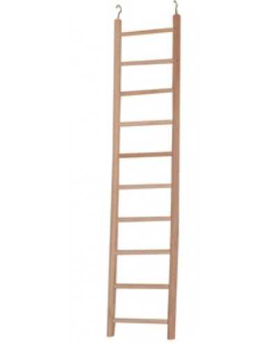 Parrot ladder