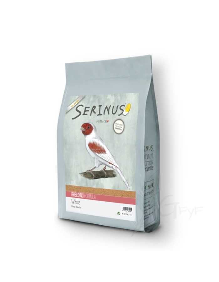 White bird food breeds Serinus