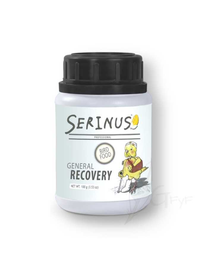 General Recovery Serinus