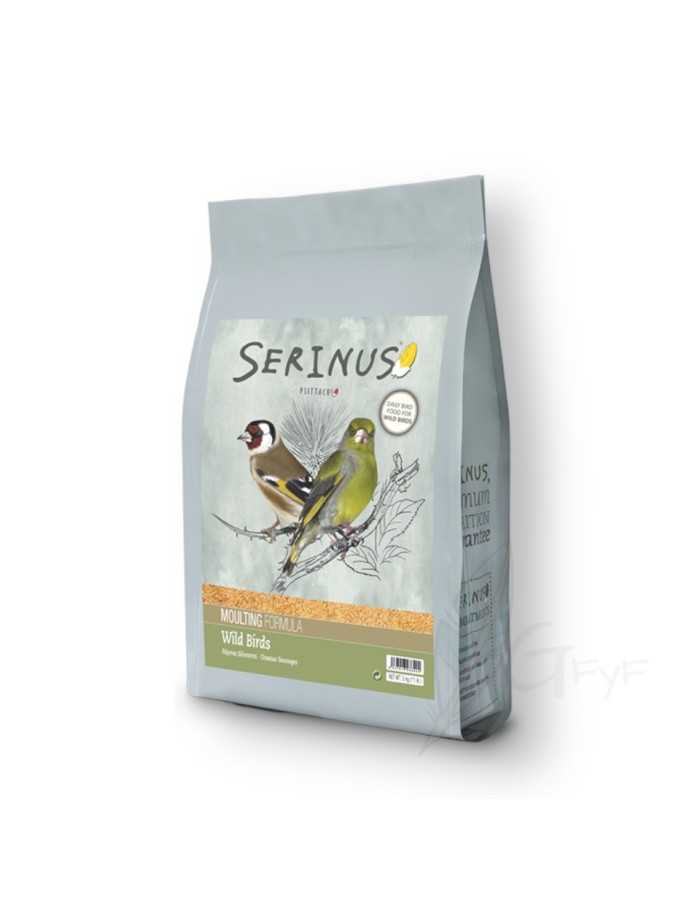Wild bird food moulting serinus