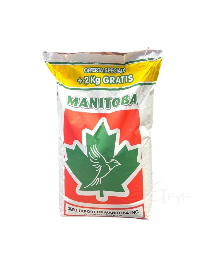 T3 Platinum miscela Manitoba (con Bianco Manopola)