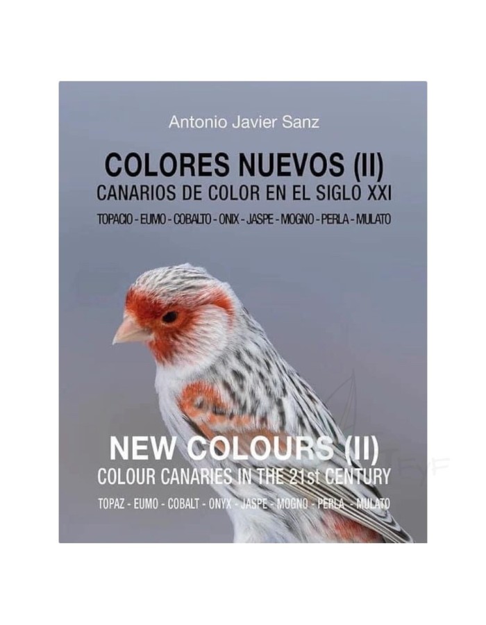 Livro Novas Cores II Antonio Sanz
