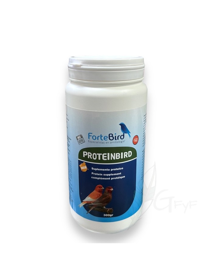 Proteinbird Fortebird