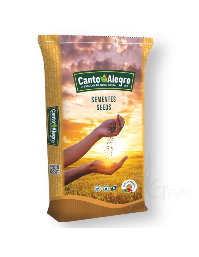 Mijo Blanco Canto Alegre