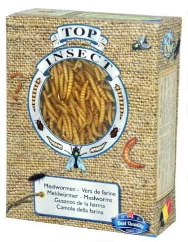 Mealworms Top Insect